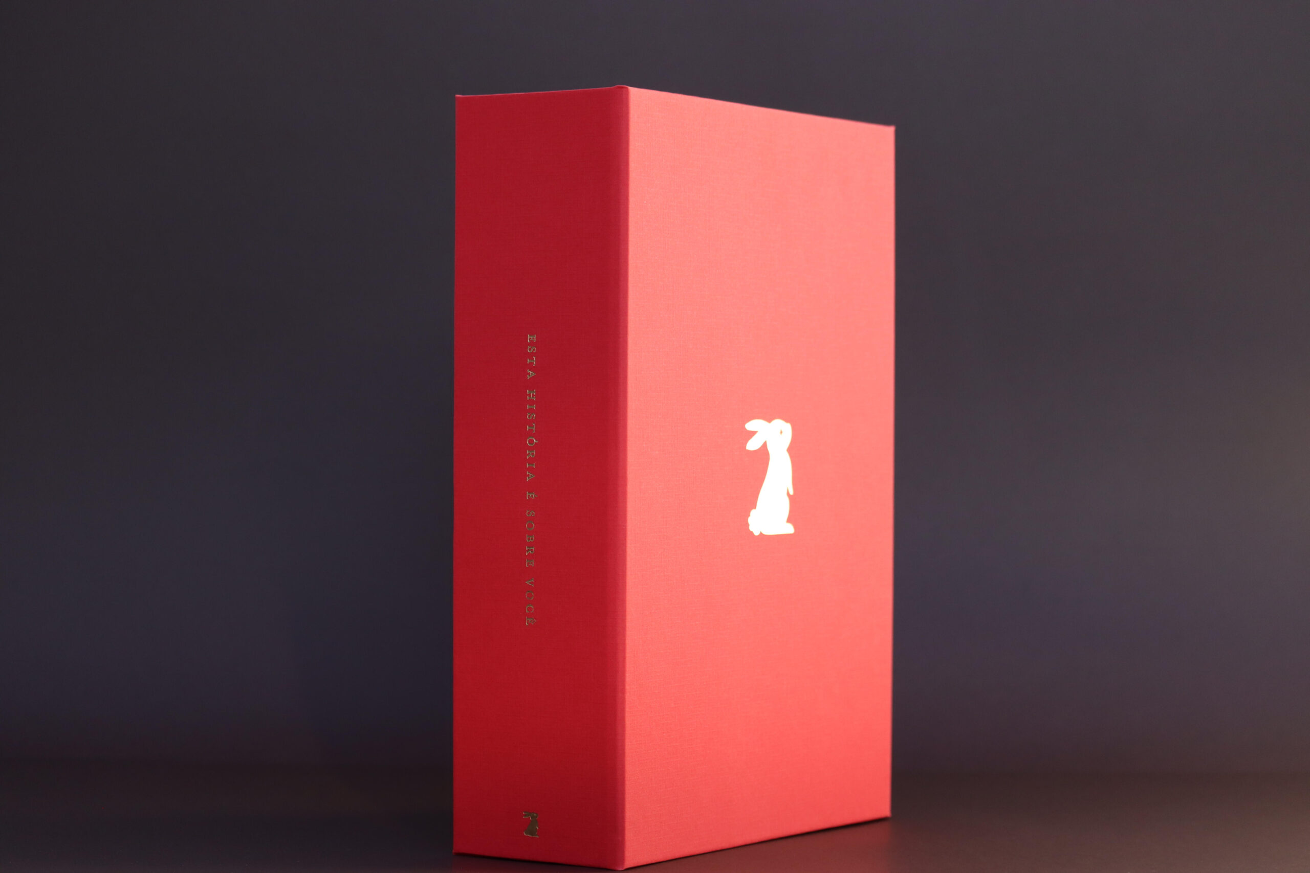 Memory Box Grande Framboesa - Imagem 2