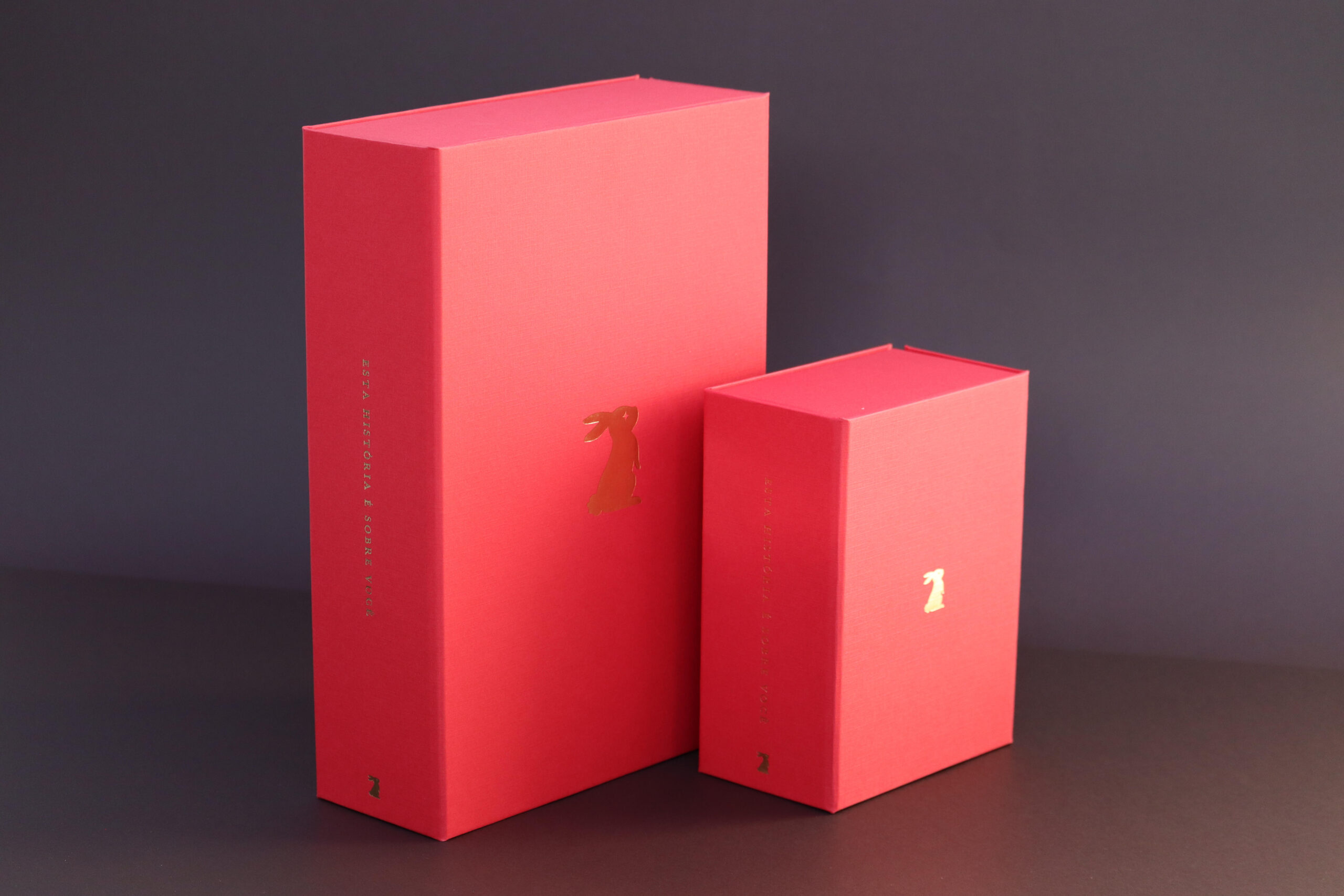 Memory Box Grande Framboesa - Imagem 3