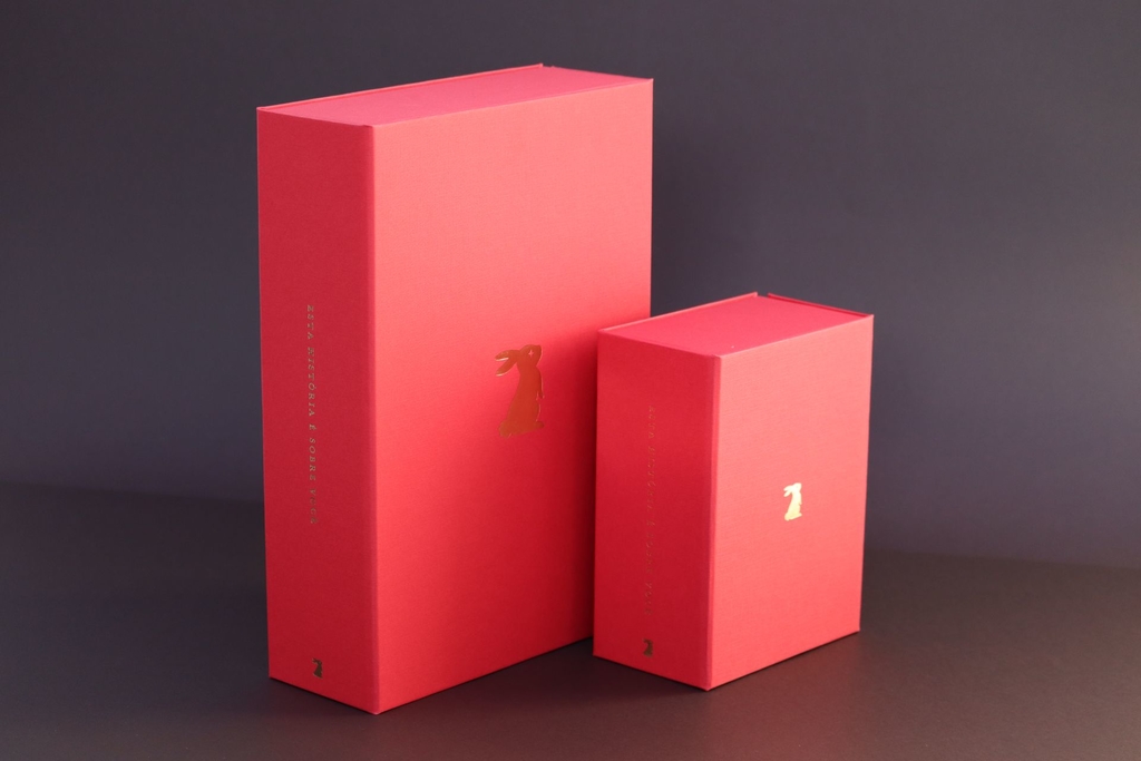 Memory Box Grande Framboesa - Imagem 9